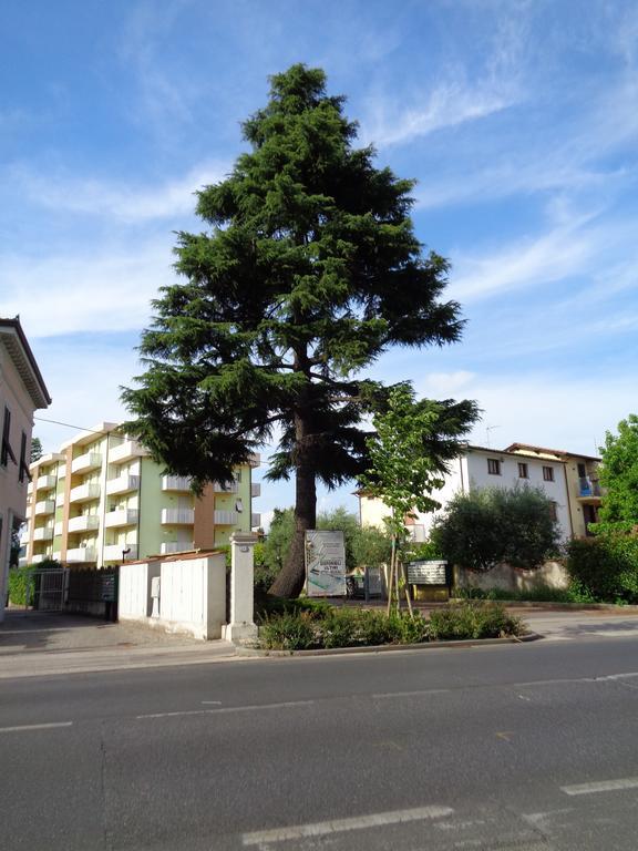 Appartement Liz Beth *